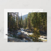 Carte Postale La rivière Kaweah dans le parc national de Sequoia (Devant / Derrière)
