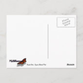 Carte Postale La rivière Kaweah dans le parc national de Sequoia (Dos)