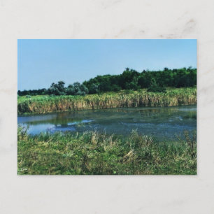 Carte Postale La rivière Molochnaya près de Melitopol.  Ukraine 