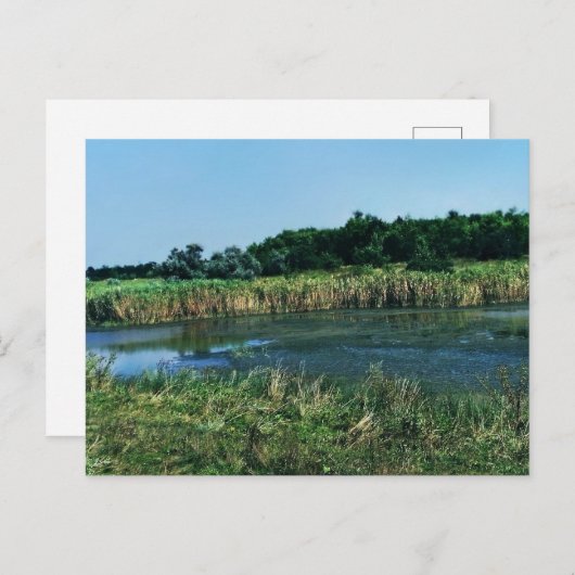 Carte Postale La rivière Molochnaya près de Melitopol. Ukraine d (Devant / Derrière)