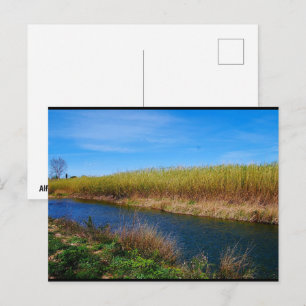 Carte Postale La rivière Túria