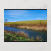 Carte Postale La rivière Túria (Devant)