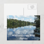 Carte Postale La rivière Withlacoochee (Devant / Derrière)