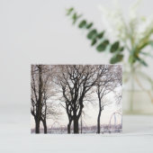 Carte Postale La Ronde (Debout devant)