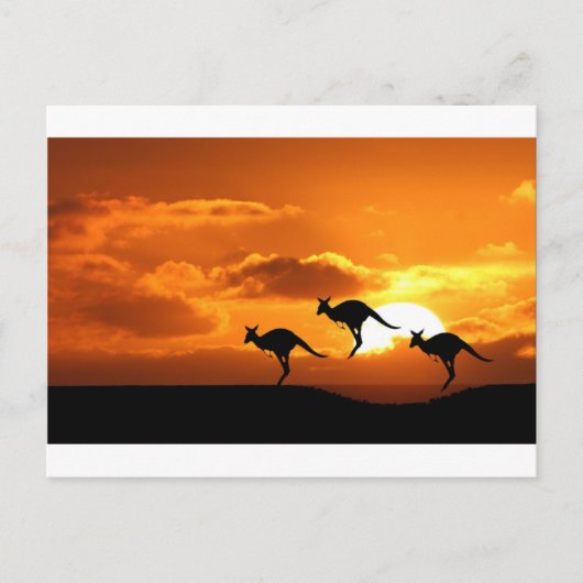 CARTE POSTALE LA ROO COURT. (Devant)