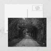 Carte Postale La route sombre (Devant / Derrière)