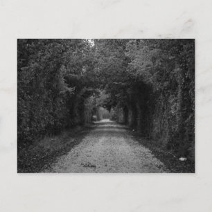 Carte Postale La route sombre