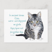 Carte Postale La sagesse des chats - dans les temps anciens, les (Devant)