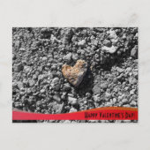 Carte Postale La Saint-Valentin (Devant)