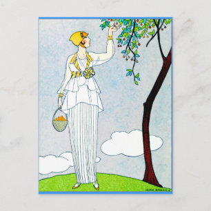 Carte Postale La Saison Des Prunes Mirabelles