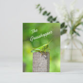 Carte Postale La sauterelle (Debout devant)