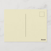 Carte Postale La Shamrock verte Vintage Saint Patrick (Dos)