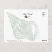 Carte Postale La sirène (Dos)