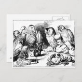 Carte Postale La souris et l'histoire sèche (Devant / Derrière)