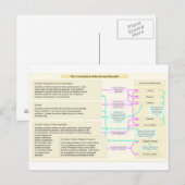 Carte Postale La structure constitutionnelle de la République ro (Devant / Derrière)