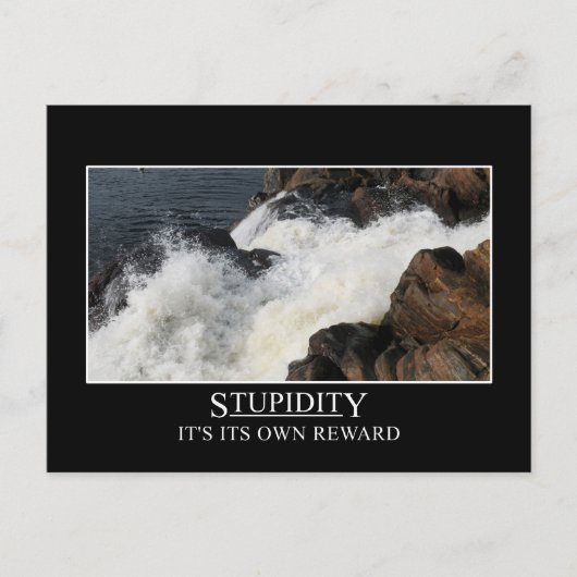 Carte Postale La stupidité est sa propre récompense (Devant)