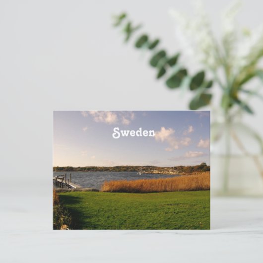 Carte Postale La Suède côtière (Debout devant)