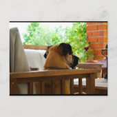 Carte Postale La surveillance de quartier (Devant)