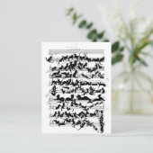 Carte Postale La Symphonie du vecteur de chat (Debout devant)