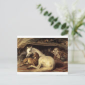 Carte Postale La tente arabe par Edwin Henry Landseer (Debout devant)