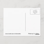 Carte Postale La Terre (Dos)