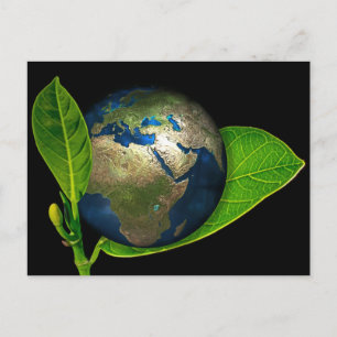 CARTE POSTALE LA TERRE EST NÉE