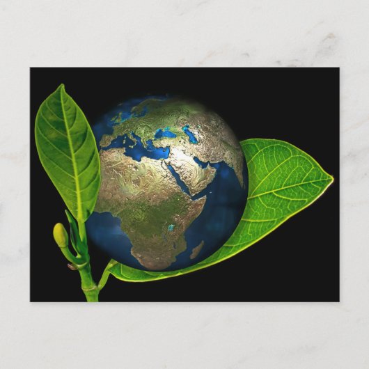 CARTE POSTALE LA TERRE EST NÉE (Devant)