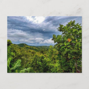 Carte Postale La Terre Qui Porte Des Fruits