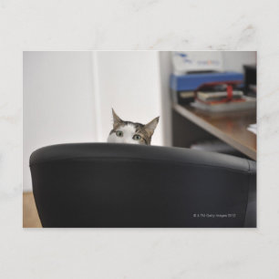Carte Postale La tête d'une chaise de bureau, à proximité
