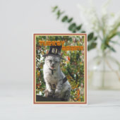 Carte Postale LA TURQUIE À NOUVEAU ? Chat de pèlerin (Debout devant)