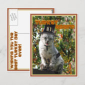 Carte Postale LA TURQUIE À NOUVEAU ? Chat de pèlerin (Devant / Derrière)