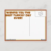 Carte Postale LA TURQUIE À NOUVEAU ? Chat de pèlerin (Dos)