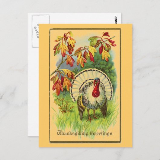 Carte Postale La Turquie blanche vintage (Devant / Derrière)