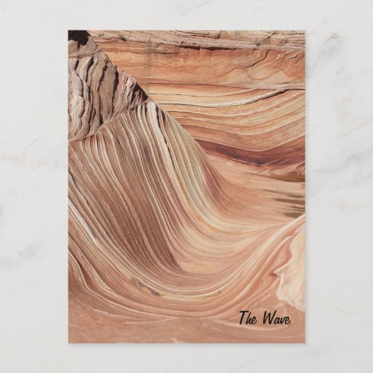 Carte Postale La vague (Devant)