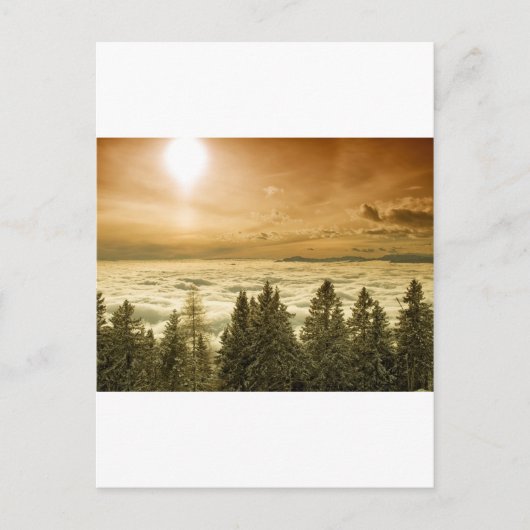 Carte Postale La vallée de Foggy (Devant)