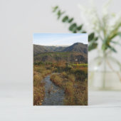 Carte Postale La vallée d'Ojai (Debout devant)