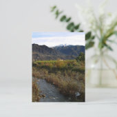 Carte Postale La vallée d'Ojai (Debout devant)