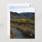Carte Postale La vallée d'Ojai (Devant / Derrière)