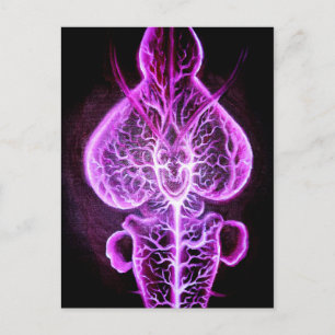 Carte Postale La vascularisation du système nerveux en roden