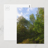 Carte Postale La verdure (Devant / Derrière)