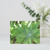 Carte Postale La verdure (Debout devant)