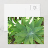 Carte Postale La verdure (Devant / Derrière)