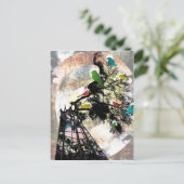 Carte Postale La vie dans une cage (Debout devant)