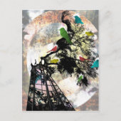 Carte Postale La vie dans une cage (Devant)