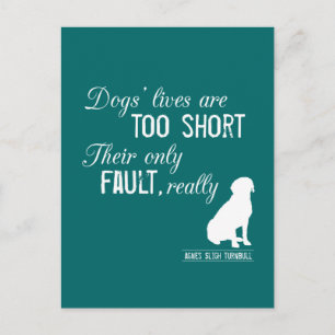 Carte Postale La vie des chiens est trop courte, leur seule faut