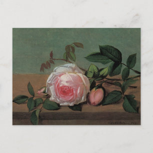 Carte Postale La vie des fleurs sur une haie