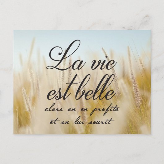Carte Postale La vie est belle (Devant)