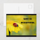 Carte Postale La vie est belle - Ladybug (Devant / Derrière)