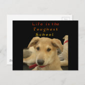 Carte Postale "La vie est l'école la plus difficile" (Devant / Derrière)