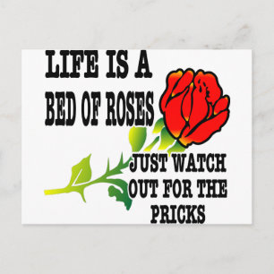 Carte Postale La Vie Est Un Lit De Roses Attention Aux Piquants